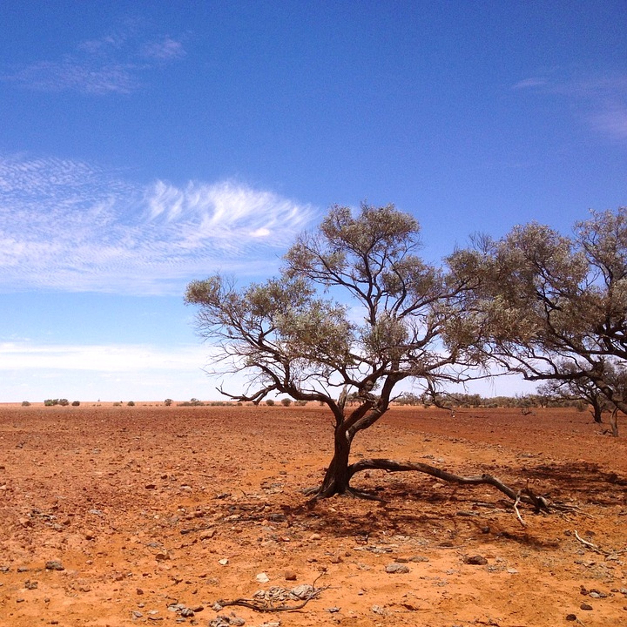 Putovanje u pustinju: Pustinja Simpson, Australija