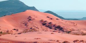 Famous Sand Dunes in the US: Sandboarding Coral Pink Sand Dunes, Utah