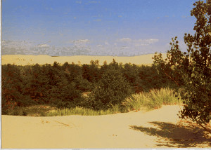 Vallée des dunes au parc d'État de Silver Lake