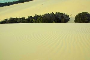 Tangalooma Çölü'nde kum sörfü - Moreton Adası