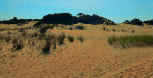 Dunes at Jockey's Ridge State Park near Nags Head, Severní Karolina