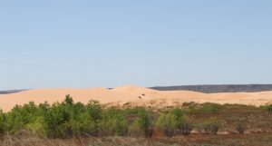 Sandboarding in Oklahoma: Waynoka Dunes (Little Sahara State Park)