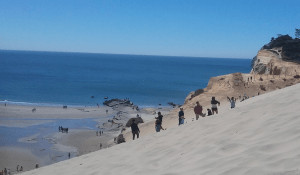 Fábrica de dunas de arena del cabo