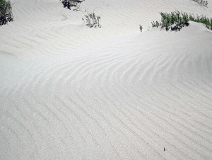 وايومنغ - Killpecker Sand Dunes