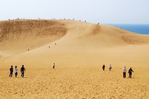 Faire du sandboard dans les dunes de sable de Tottori au Japon
