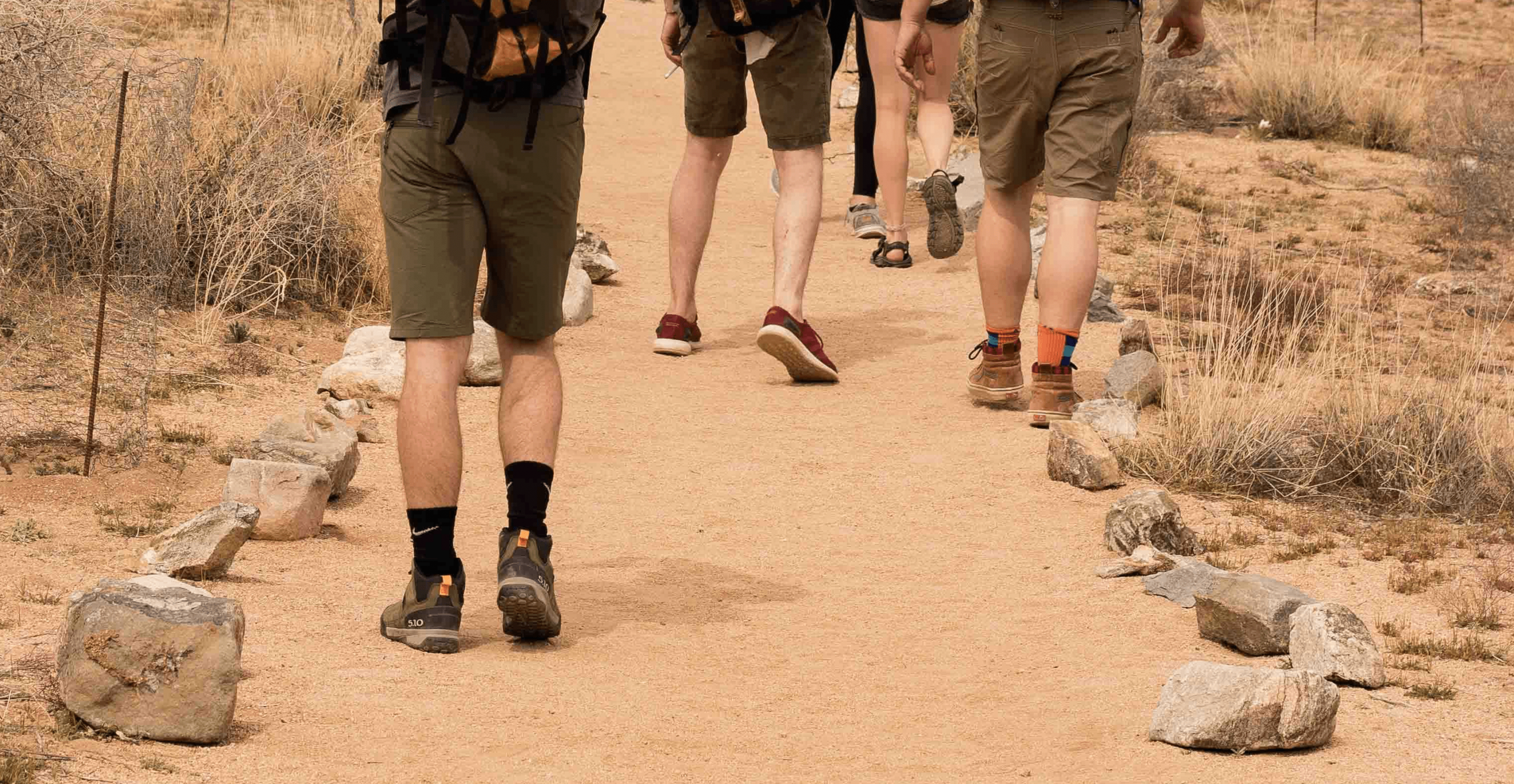 MIRMARU Calcetines de senderismo para hombre, 5 pares de calcetines de  senderismo, multirendimiento, que absorbe la humedad, deportes al aire  libre