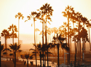 Venice Beach Sand Sledding - Los Angeles, SoCal