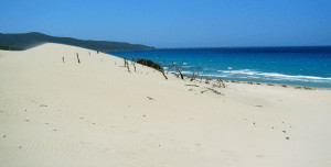 Port Pino sanddyner