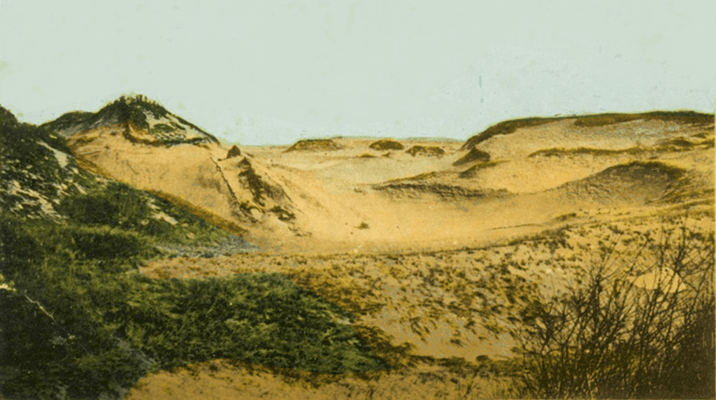 Cape Cod Sand Dunes