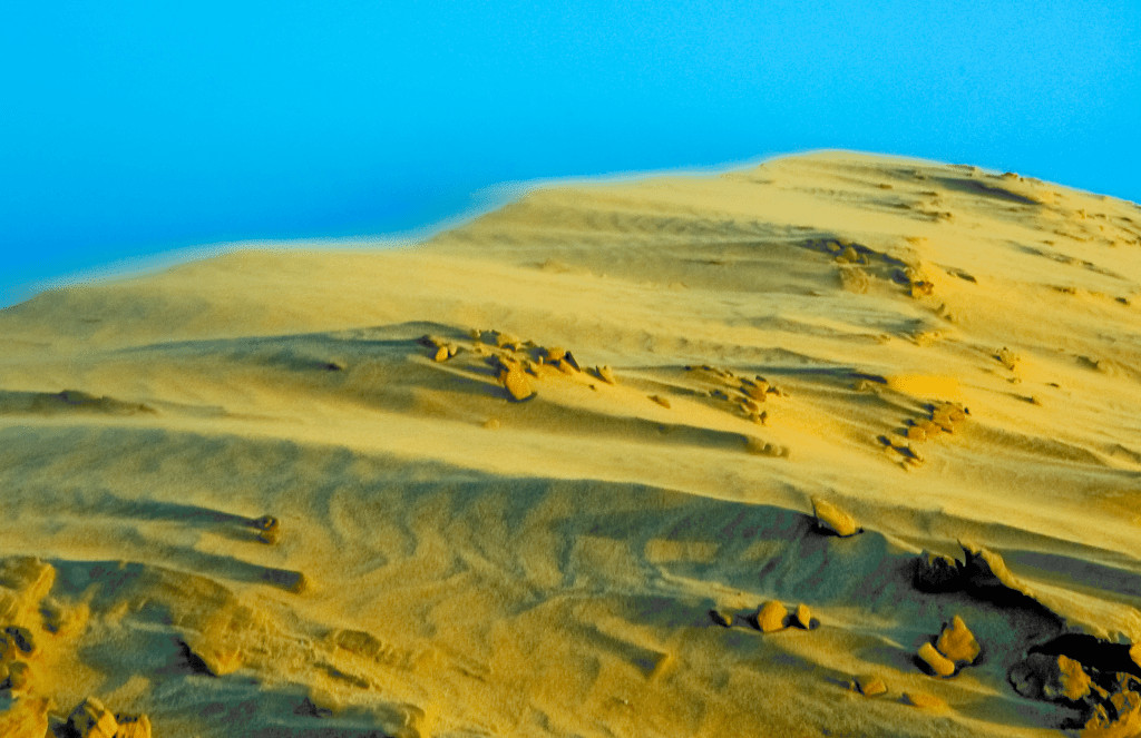 Maspalomas Sand Dunes