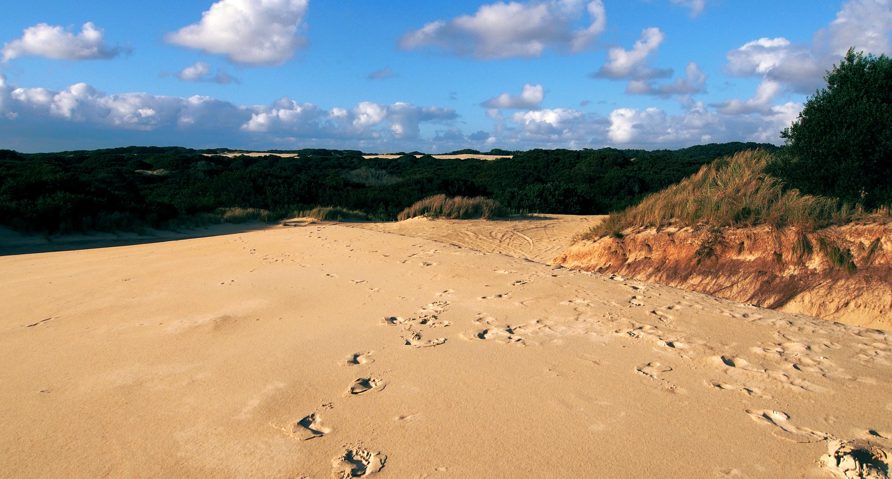 Henty Dunes, Strahan, Tasmania.