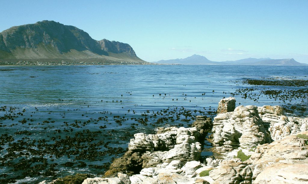 Sandboarding in Cape Town: Betty's Bay