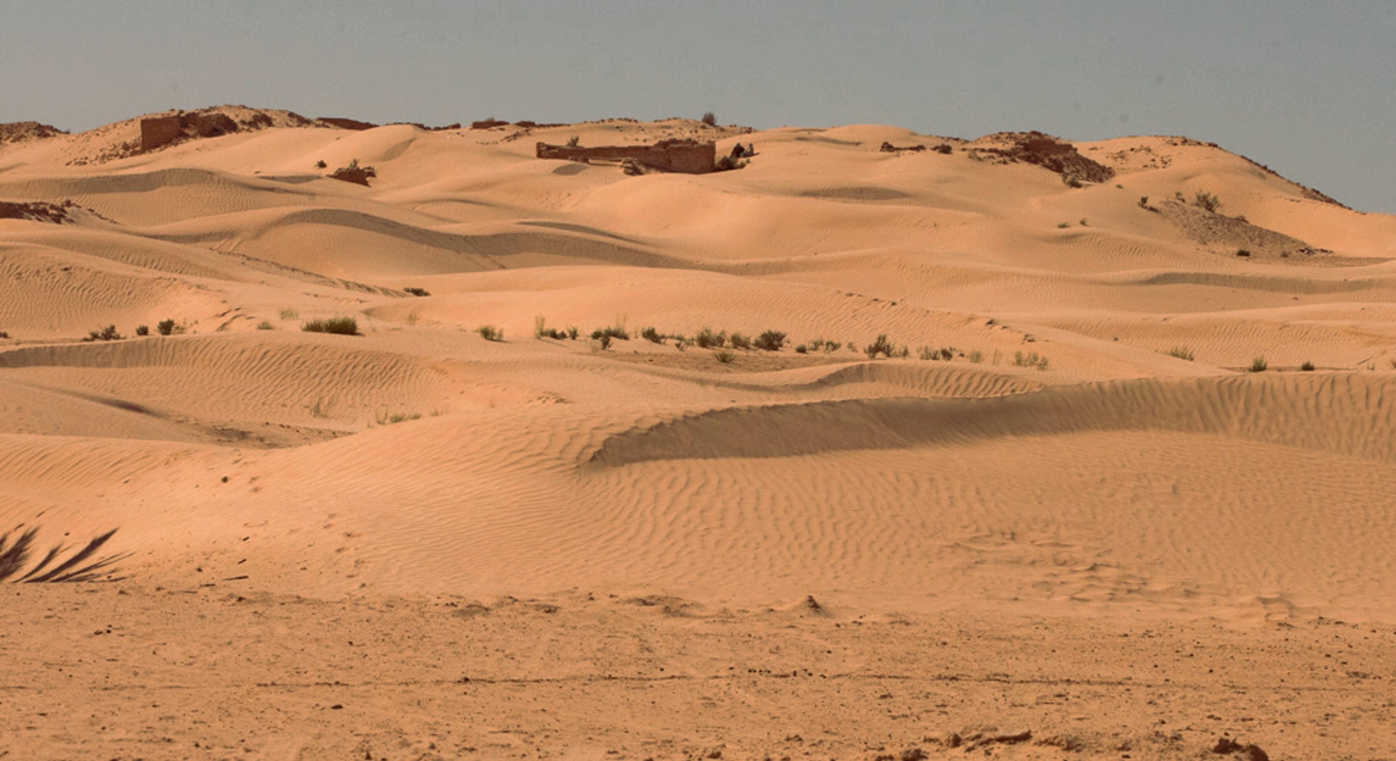 Tunisian Sahara Desert (Grand Erg) sand dunes
