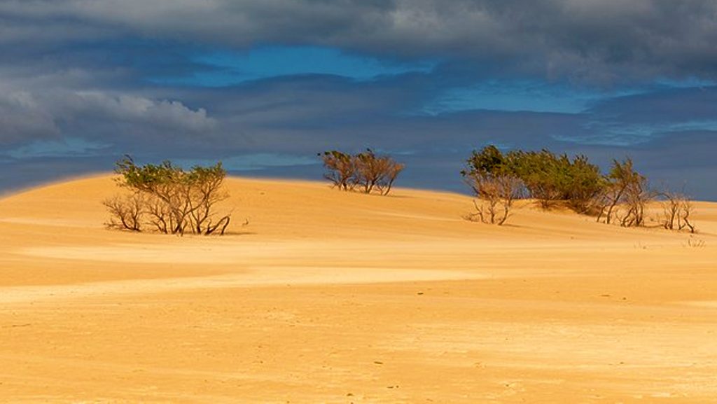 The Big Drift - Sand Dunes in Wilsons Promontory National Park 