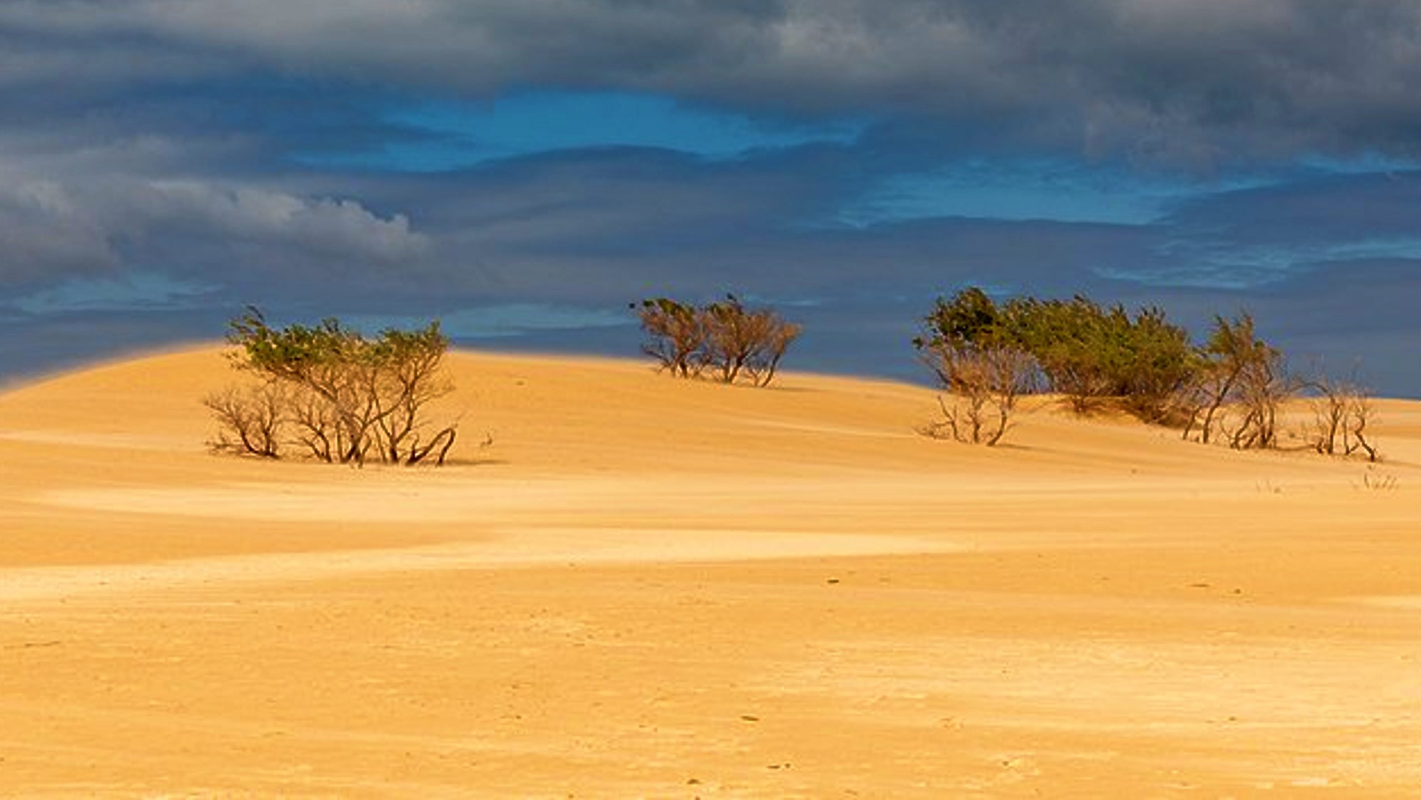 Den stora driften - Sanddyner i Wilsons Promontory National Park