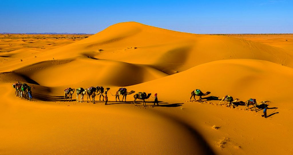 Sahara öknen - Världens tredje största öken