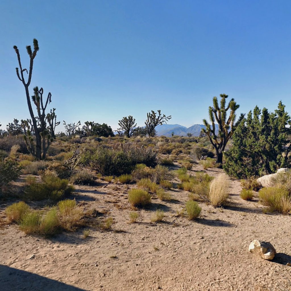 Desert Gateways: Mojave Desert