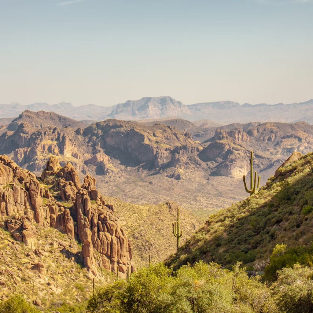 Desert Gateways: Sonora Desert