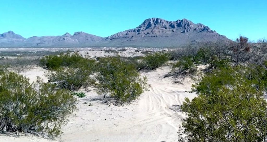 Hot Well Dunes near Safford, Arizona