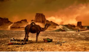A világ legforróbb sivataga az iráni Lut-sivatag