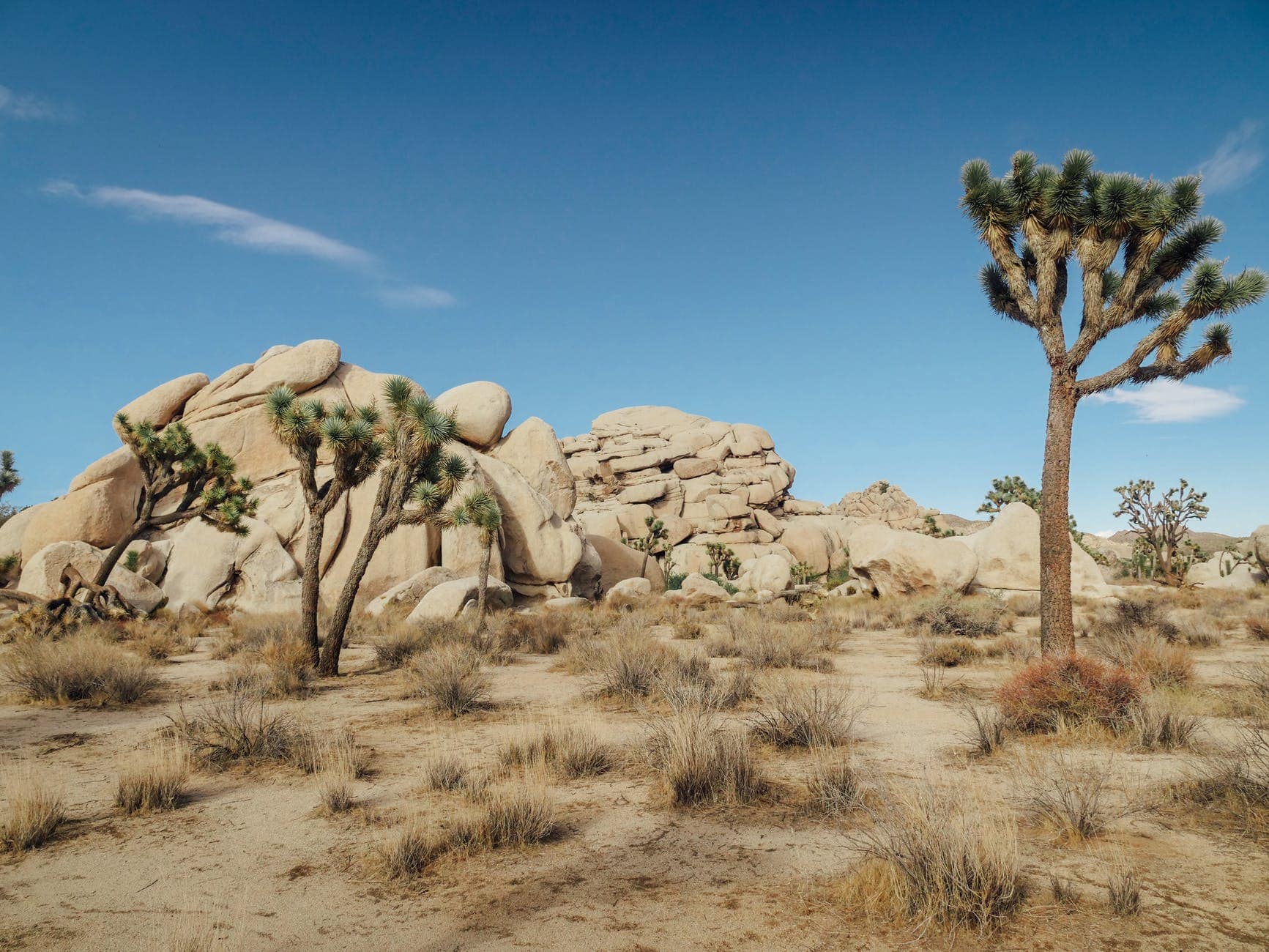 Sự hình thành đá trên sa mạc Mojave