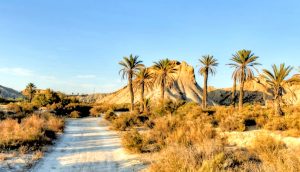 Tabernas Desert: the only desert in Europe