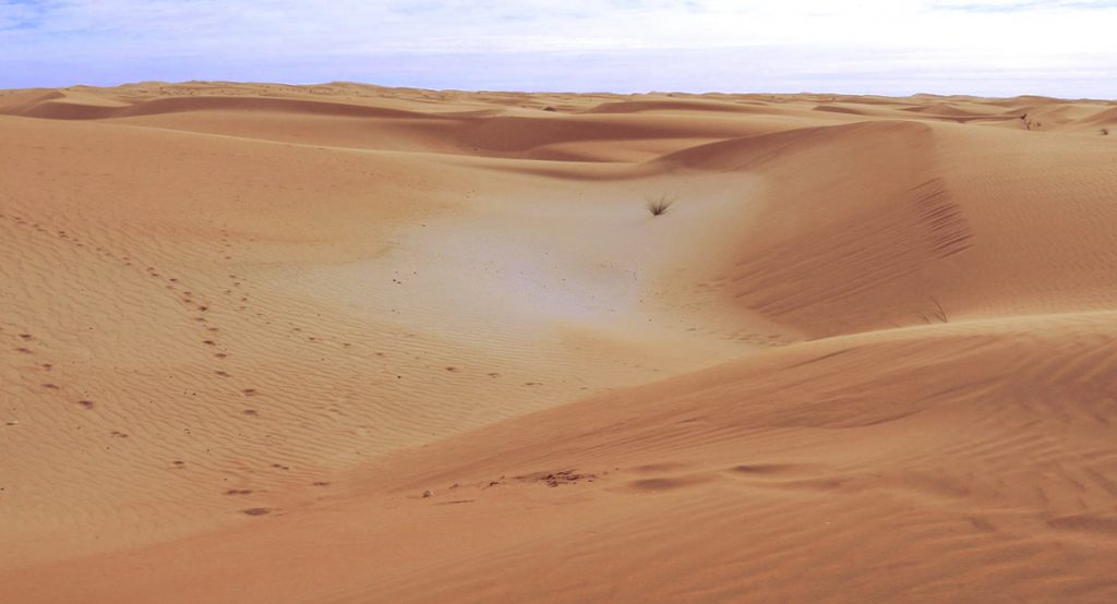 Deșertul Mauritaniei. Dunele Adrar, lângă Chinguetti