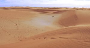 Mauritania Desert. Dunes of Adrar, near Chinguetti