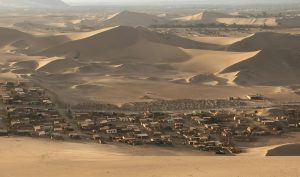 كيف تبدو الحياة في الصحراء?