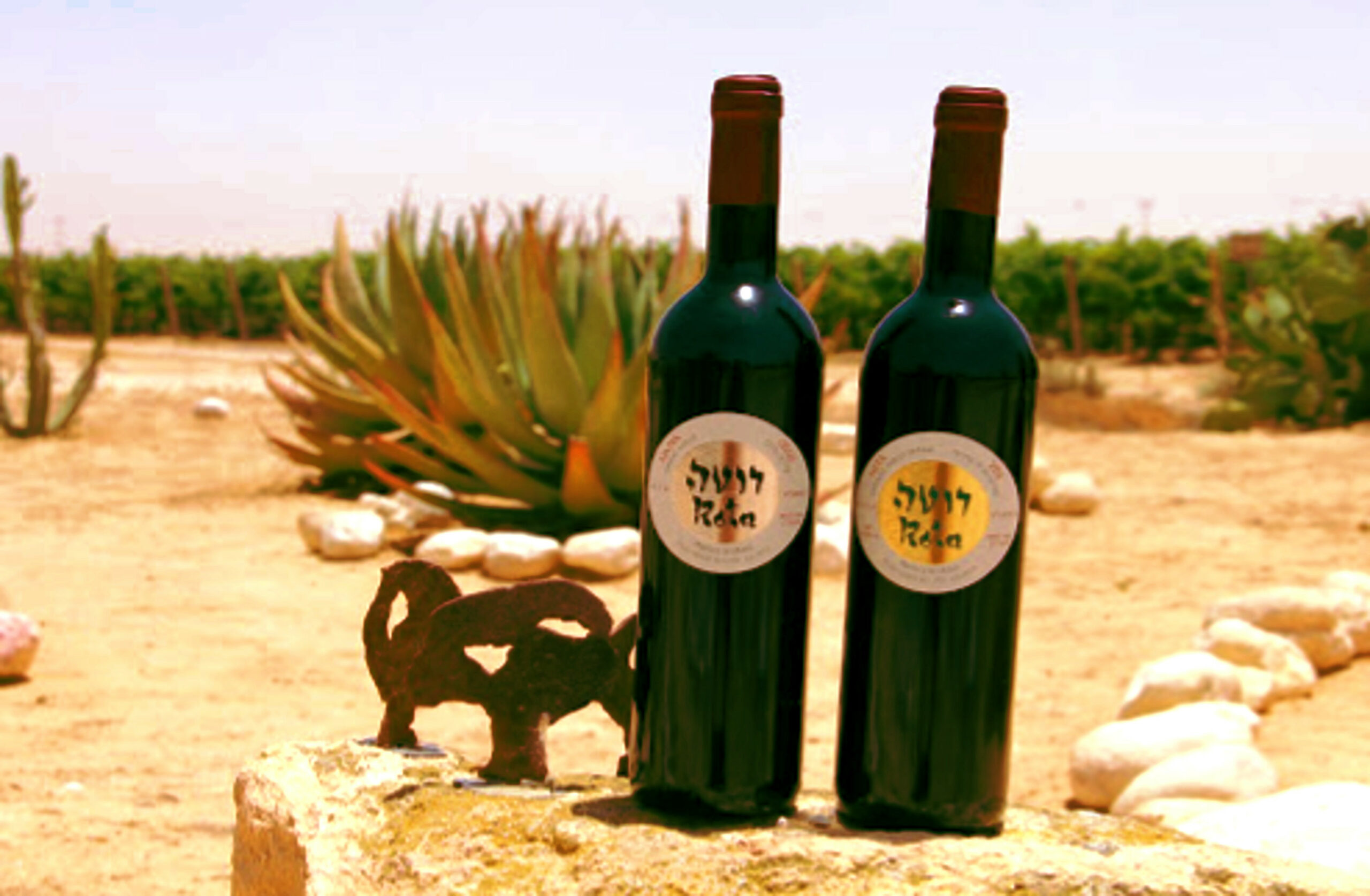 Dwie butelki wina uprawianego lokalnie na pustyni Izraela