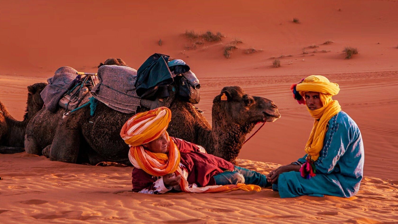 Homens com um camelo no deserto do Saara.