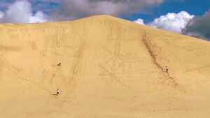 Toeristen sandboarden bij gigantische zandduinen van Te Paki