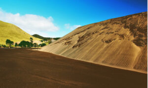كثبان شاطئ بيثيلس الرملية. أوكلاند, نيوزيلاندا