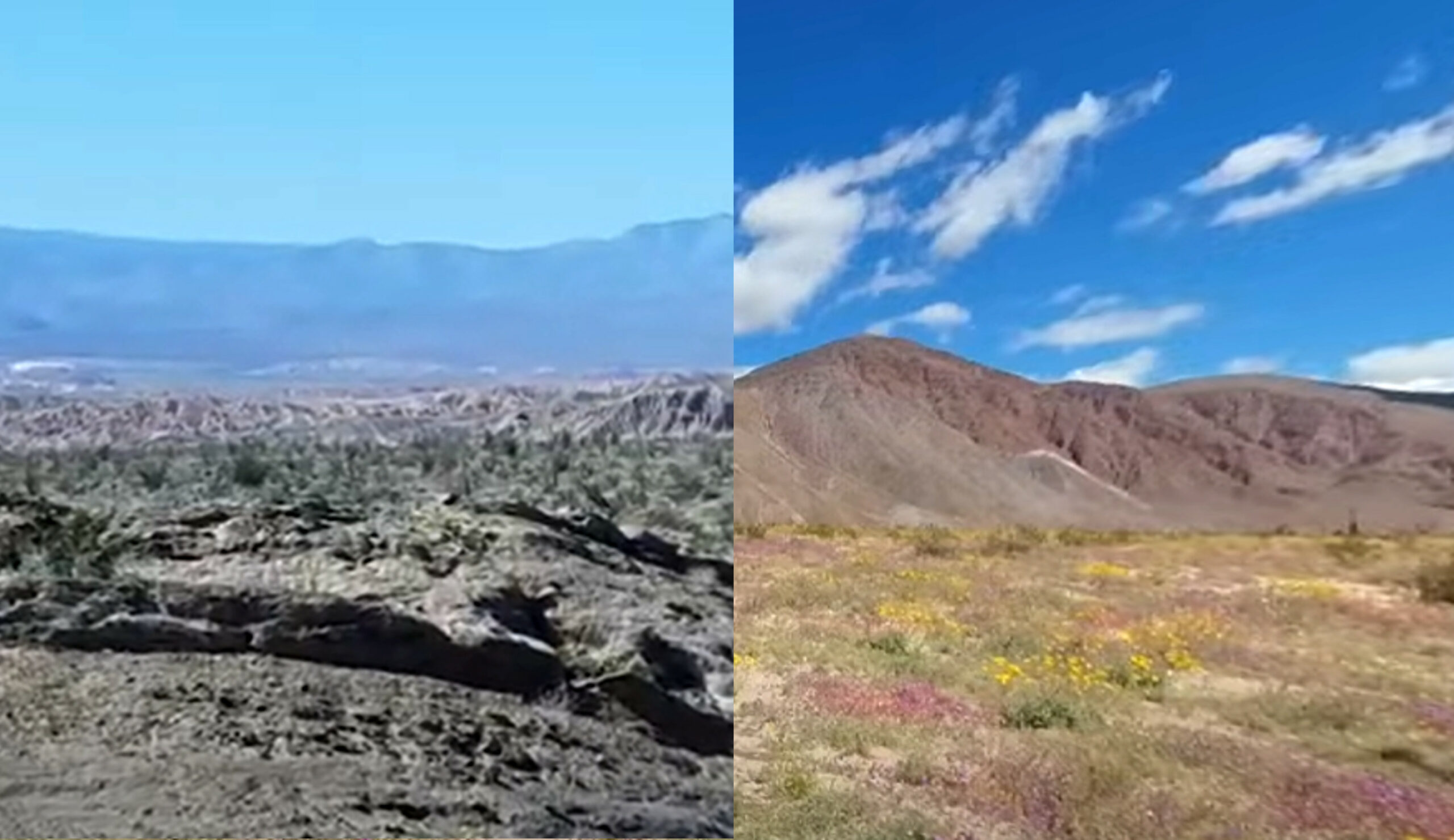 Anza Borrego Desert State Park egy szupervirágzás előtt és után 2019.