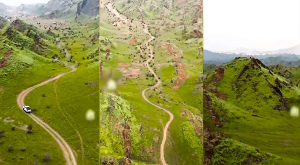 Saudi Arabia's Makkah Mountains covered in vegetation after recent floods.