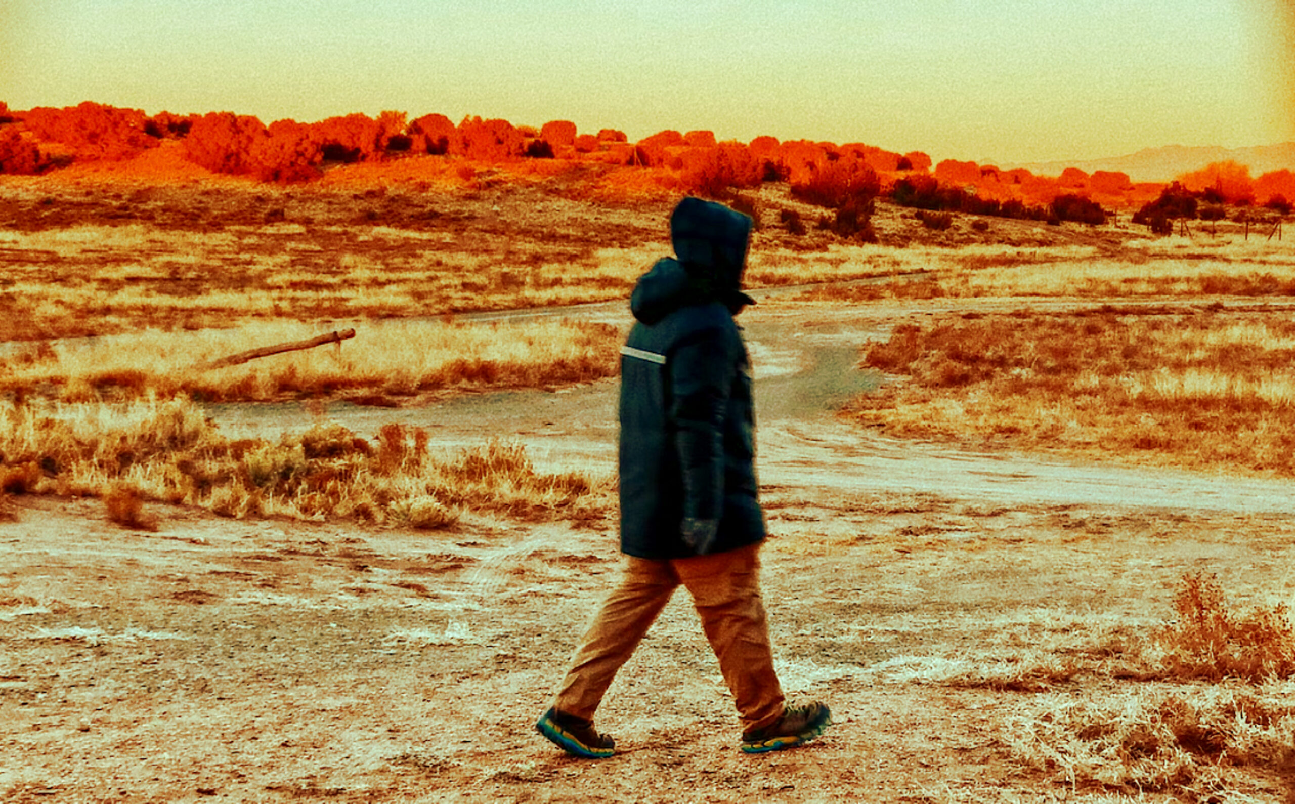 Purtând o jachetă în deșert