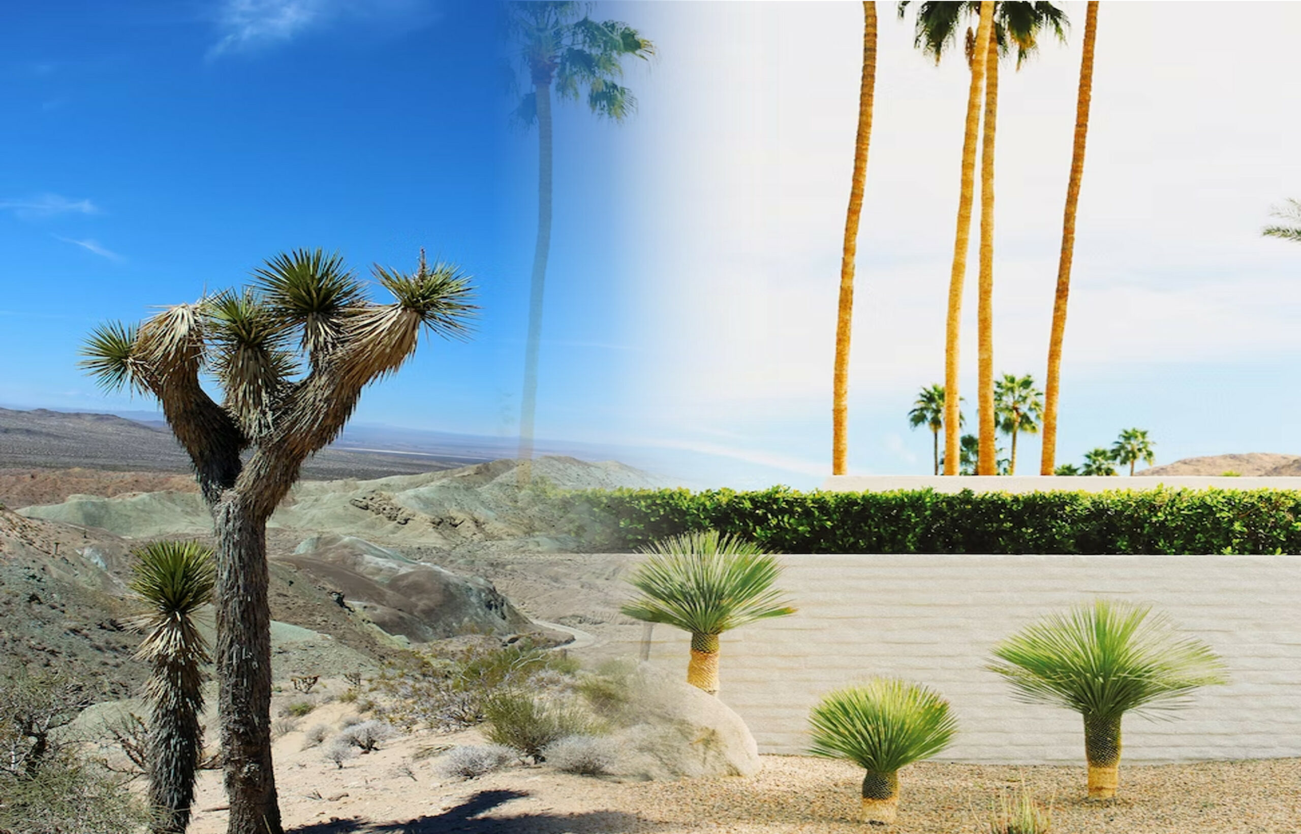 High Desert vs Low Desert Californien