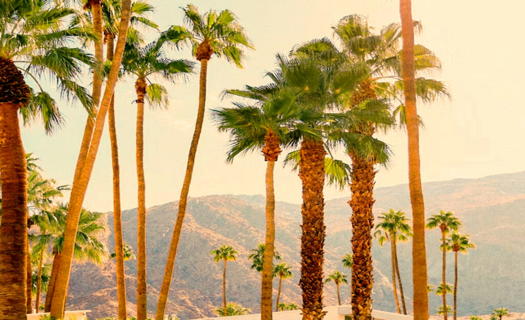 Palm Springs, Vallée de Coachella. Bas Désert.