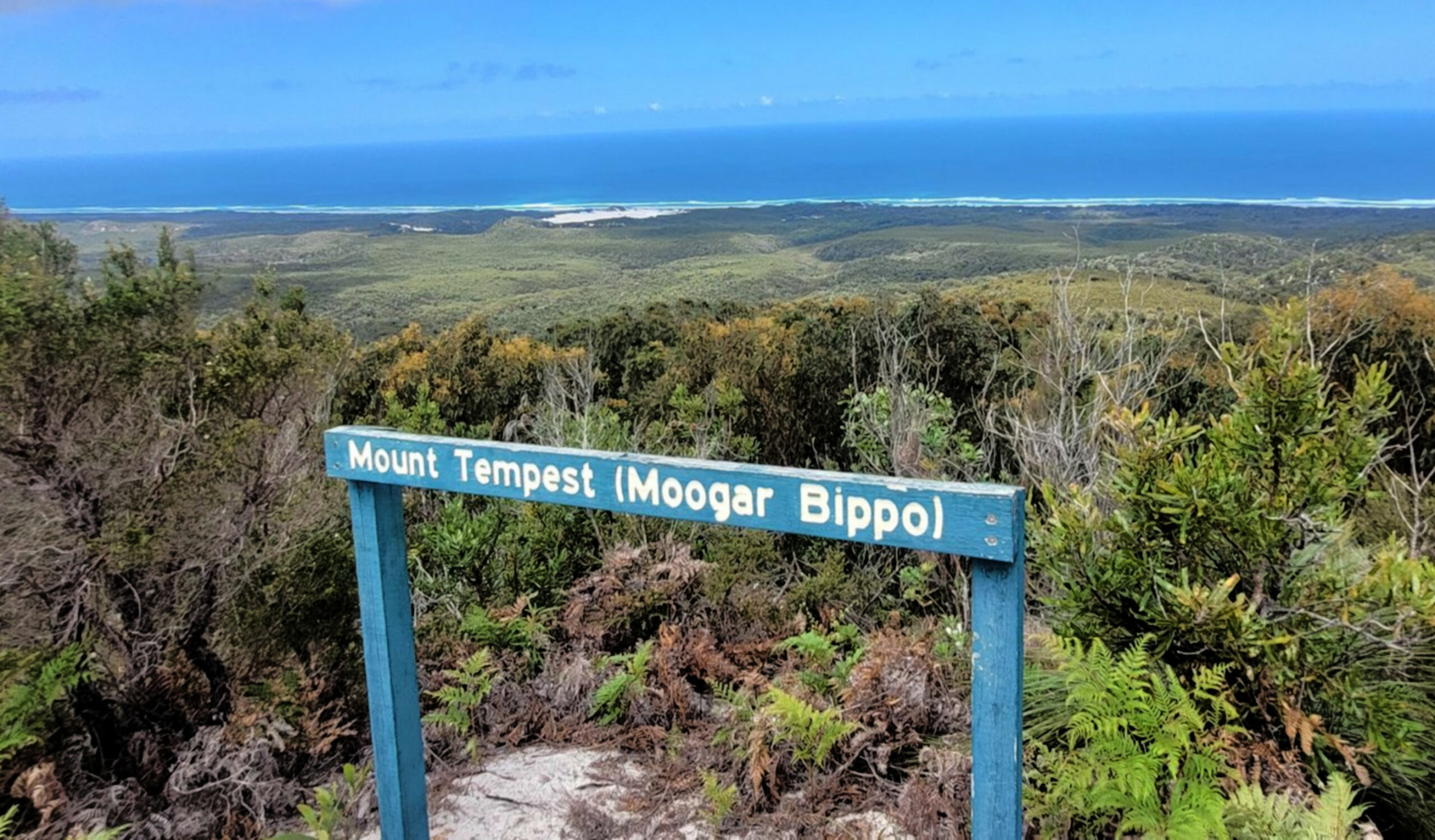 Udsigt fra toppen af ​​den højeste klit i Australien: Mount Tempest, Moreton Island