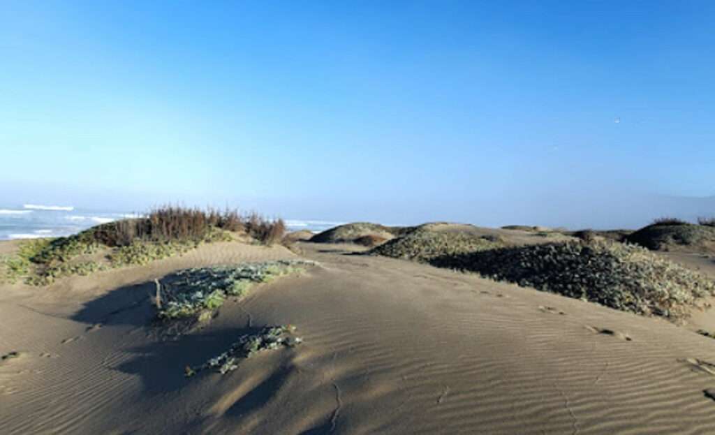 Ten Mile Dunes. Mendocino County, California.