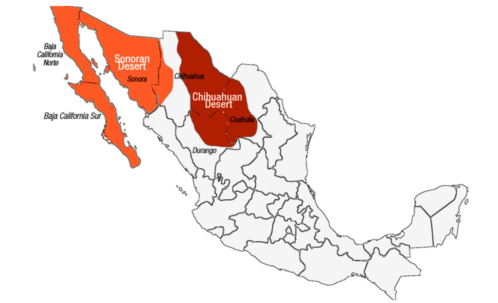 Map of the two main deserts in Mexico, the Chihuahuan and Sonoran deserts.