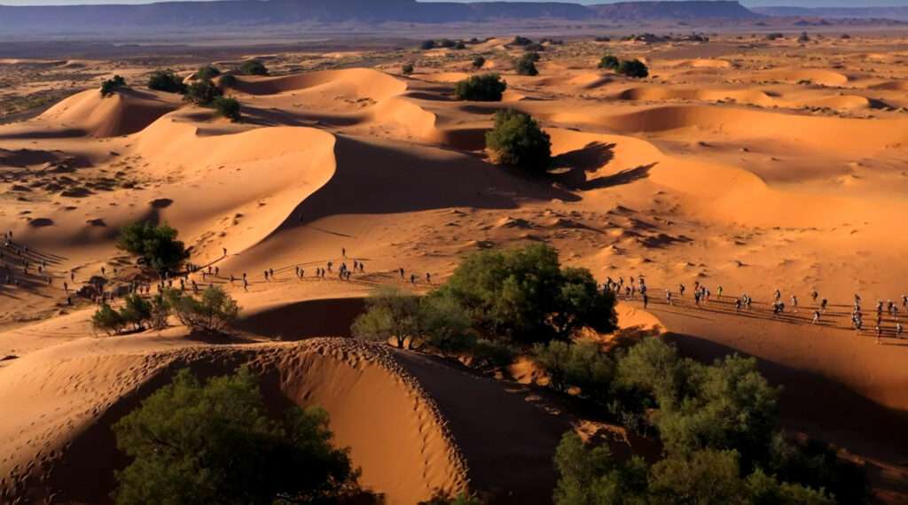 Participants running through sand dunes in the Sahara Desert during Marathon des Sables.