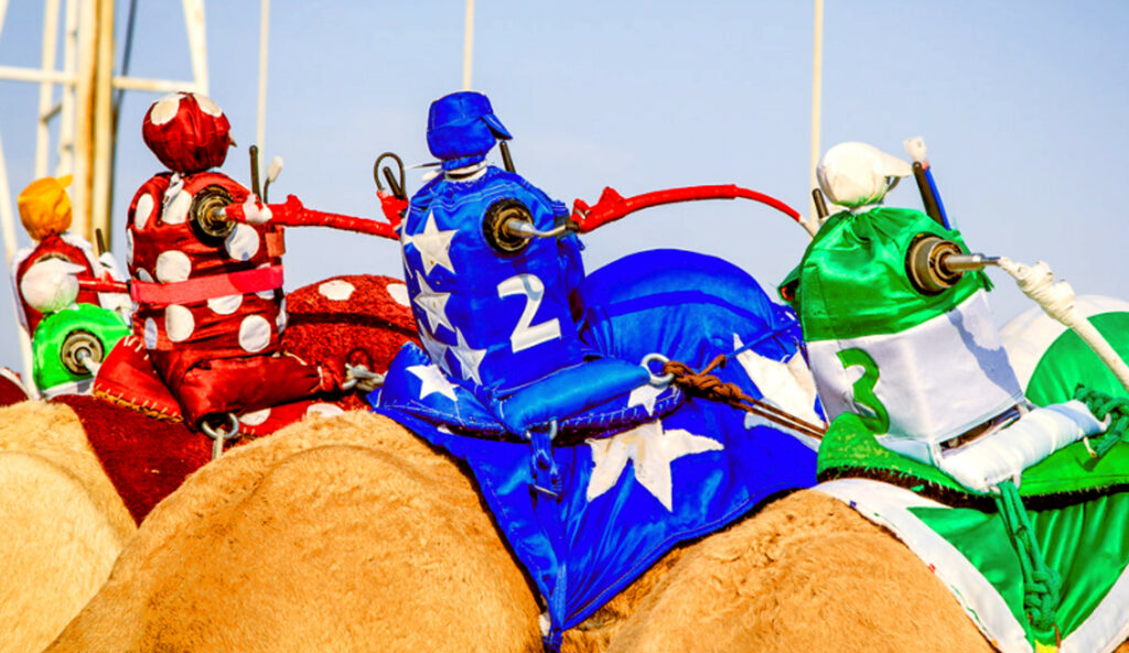 Robot Jockeys Used in Qatar for Camel Racing