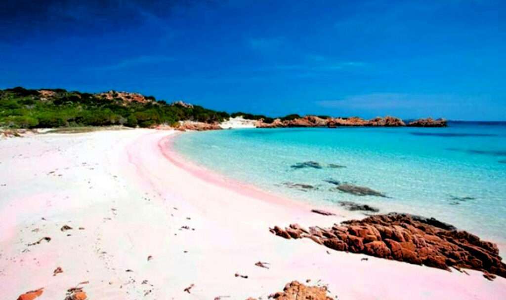 Pink Sands Beach Bahamas