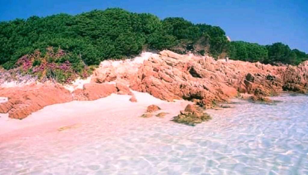 Spiaggia Rosa - Budelli Island, Sardinia, Italy