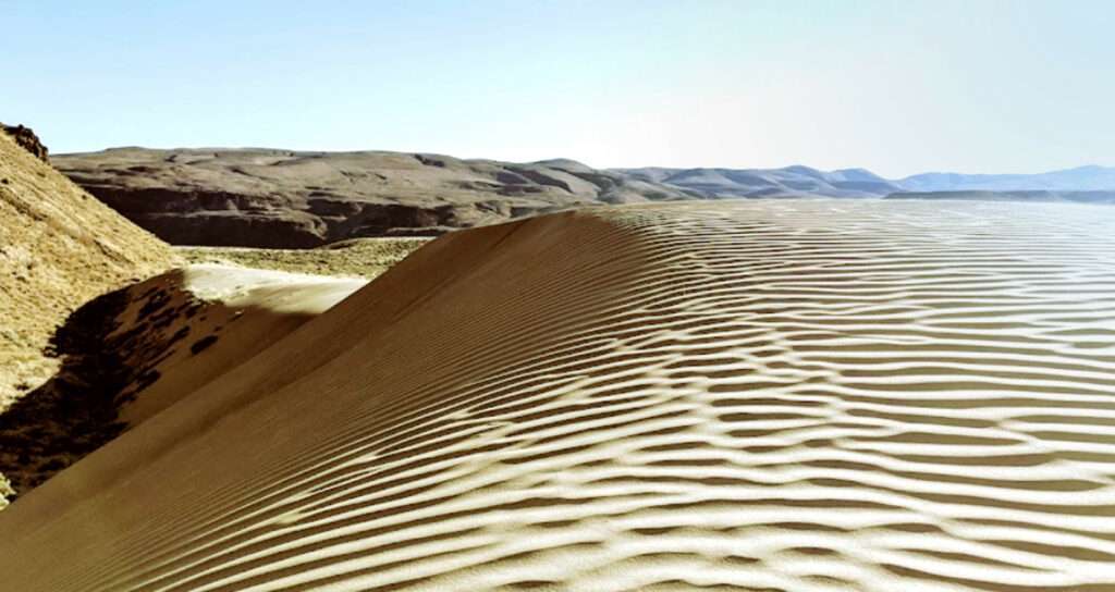 Washington State Deserts Surf the Sand