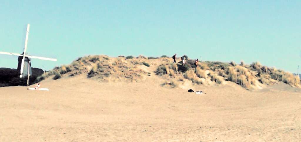 Ocean Beach San Francisco Sand Dunes