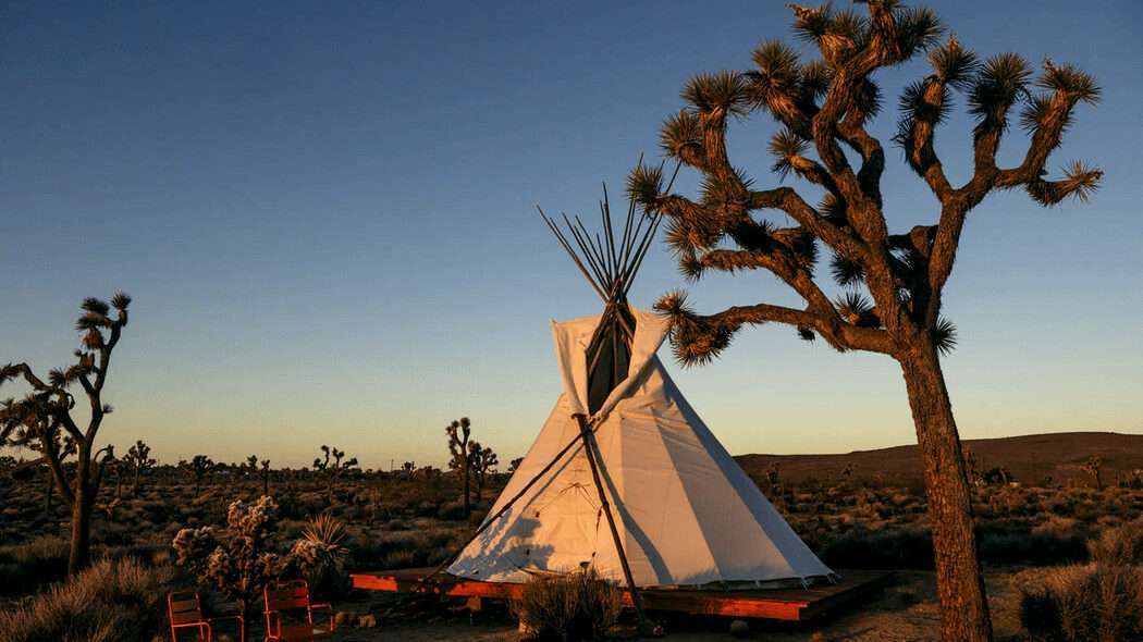 Desert Camping Joshua Tree