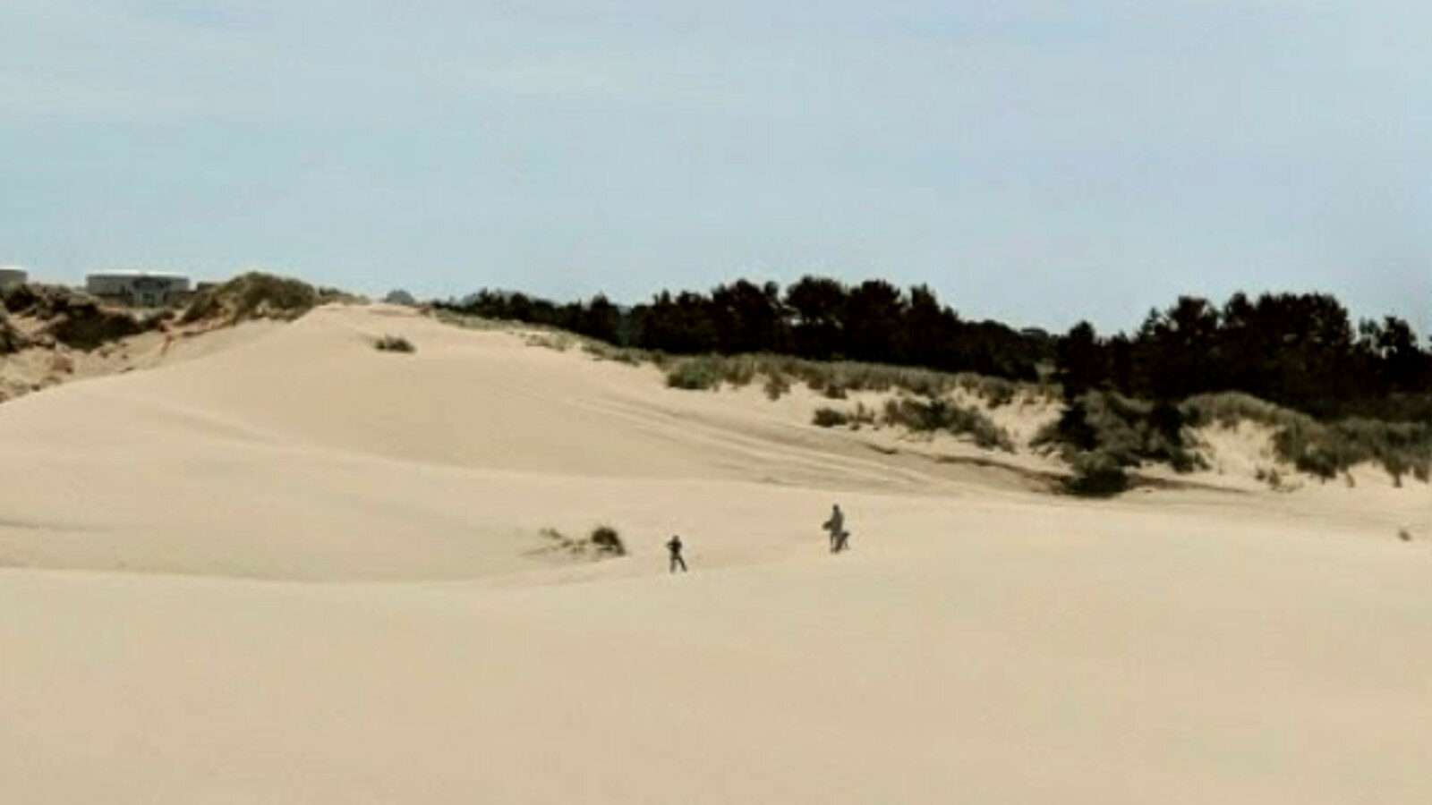 Sand Master Park sand dunes. Florence, Oregon