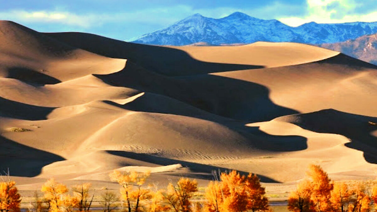 The Highest Sand Dunes in USA: Stunning Mountains of Sand